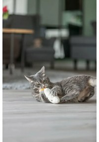 παιχνίδι για γάτες Trixie Πρόσωπο