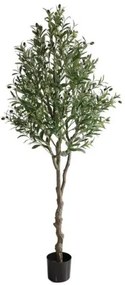 New plan OLIVE TREE NP410_180 ΥΨΟΣ 180cm Τεμαχιο
