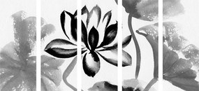 Εικόνα 5 τμημάτων ακουαρέλα λουλούδι λωτού σε ασπρόμαυρο σχέδιο