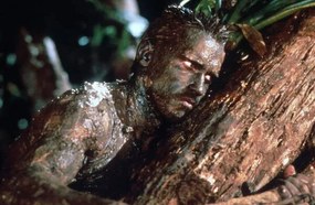 Φωτογραφία Arnold Schwarzenegger