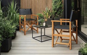 Καρέκλα Director