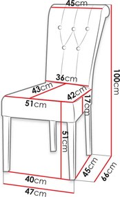 καρέκλα Mandee S65 Plus-Mauro - 51.00Χ60.00Χ100.00cm
