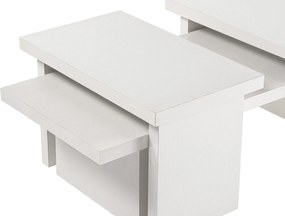 Coffee Table Sanctuary - Wood White Wood White
