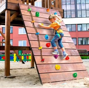 VEVOR 32 Rock Climbing Holds Climbing Rocks with Colored Climbing Rope Hardware