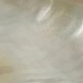 Fruit Plate S Line για χαβιάρι S4084-0091