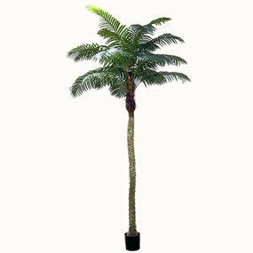 Τεχνητό Δέντρο Φοίνικας Robellini 6890-6 300cm Green Supergreens Polyethylene
