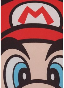 Μαξιλάρι Mario Bros 39 x 3 x 41 cm Πολύχρωμο πολυεστέρας Έντυπη Παιδικά