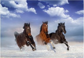 Αυτοκόλλητη φωτοταπετσαρία - Horses in the Snow - 441x315