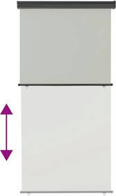 vidaXL Σκίαστρο Βεράντας Πλαϊνό Γκρι 125 x 250 εκ.