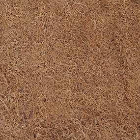 vidaXL Επίστρωμα 100 x 200 εκ. από Κοκοφοίνικα