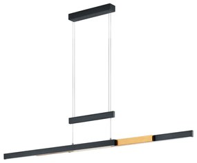 Φωτιστικό Οροφής - Ράγα Trajan 375310502 42W Led 95-150cm Black-Brass Trio Lighting Metal
