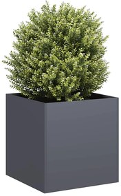 vidaXL Ζαρντινιέρα Ανθρακί 40x40x40 εκ. από Χάλυβα Ψυχρής Έλασης