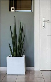 Βάζο Λουλουδιών EDA Λευκό Πλαστική ύλη 5 cm