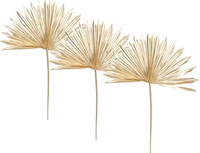 Διακοσμητικά Κλαδιά 50εκ. (Σετ 3τμχ) A-S Stems Gold 181479