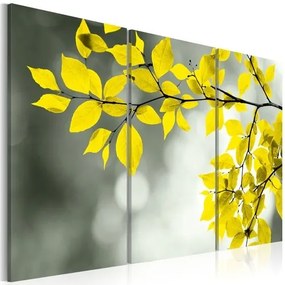 Πίνακας - Gold sprig - 90x60