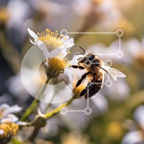 Intra Συλλεκτικό Ξύλινο Παζλ Plywood  4mm - Μέλισσα στα λευκά λουλούδια Σε Ξύλινο Κουτί - Διαστάσεις: 10x10 cm – 25 κομμάτια