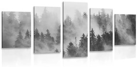 Εικόνα 5 τμημάτων βουνά στην ομίχλη σε μαύρο & άσπρο