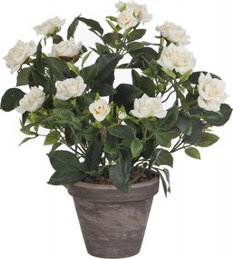 Τεχνητό Λουλούδι Σε Γλάστρα 33εκ. Edelman Rosebush White 948334