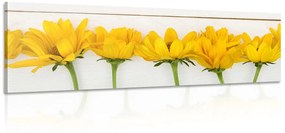 Εικόνα όμορφα κίτρινα λουλούδια - 135x45