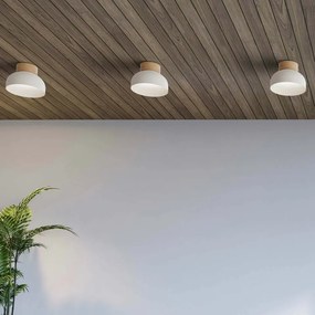 Φωτιστικό Οροφής Reiko Ceiling Μέντα