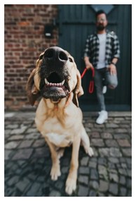 Λουρί Σκύλου Hunter FREESTYLE Κόκκινο 110 cm