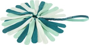 Λουρί Σκύλου Coachi