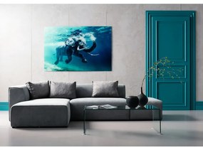 Πίνακας Γυάλινος Κολύμπι Ελέφαντα Μπλε 180x4x120εκ - Μπλε