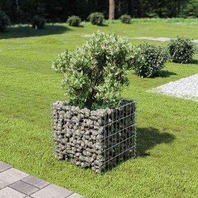 vidaXL Συρματοκιβώτιο-Γλάστρα Υπερυψωμένη 50x50x50 εκ. Γαλβ. Χάλυβας