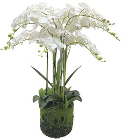 Τεχνητό Φυτό Ορχιδέα 04-00-94377-1 80cm Green-White Marhome Πλαστικό, Ύφασμα