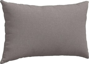 vidaXL Μαξιλάρι Καναπέ 2 pcs Taupe 50 x 30 cm ύφασμα