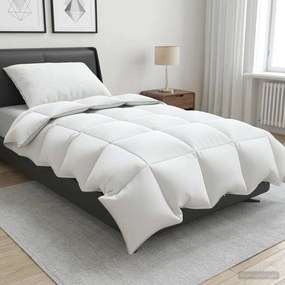 vidaXL Σετ πάπλωμα 90% χήνας FULDA 2 τμχ. 137 x 200 cm Χειμώνας Λευκό