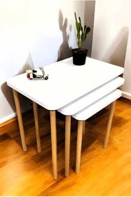 Ζιγκόν (3 Τεμαχίων) Λευκό LOTRAL 60x38x52