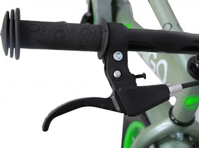 Sports 18 Inch 26 cm Boys Coaster Brake Grey/Green