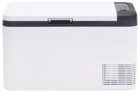 vidaXL Ψυγείο με Λαβή Μαύρο&amp;Λευκό 25 Λ. Πολυπροπυλένιο &amp; Πολυαιθυλένιο