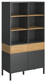 Ραφιέρα Beril 2D2S Ανθρακί-Χρυσό Δρυς 90x42x170cm