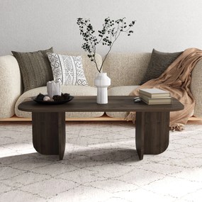 Τραπεζάκι Σαλονιού Καρυδί CATREAL 120x60x41.4
