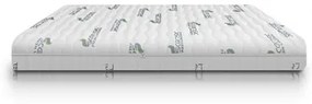 Ecosleep Στρώμα Ύπνου Ημίδιπλο Χωρίς Ελατήρια Ecosleep Ergo 130x200x20 (πλάτος 121-130 cm) BEST-20105195