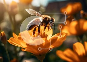 Intra Συλλεκτικό Ξύλινο Παζλ Plywood 4mm - Επικονίαση μελισσών Σε Ξύλινο Κουτί - Διαστάσεις: 10x10 cm – 25 κομμάτια