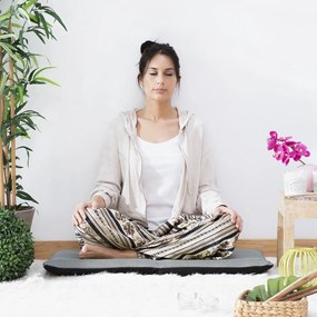 Ανακλινόμενη Καρέκλα Δαπέδου Sitinel InnovaGoods