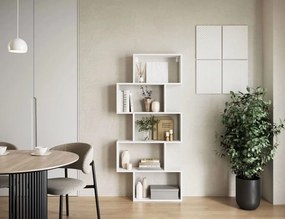 Βιβλιοθήκη Idaho-Leuko