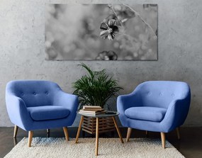 Εικόνα λουλουδιών σε μαύρο και άσπρο - 120x60