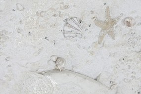 Καμβάς Home ESPRIT Μπεζ Μεσογείακός (x2)