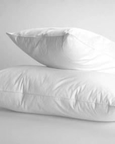 Μαξιλάρι Πουπουλένιο 80%  Πούπουλο- 20%  Φτερό Cambridge 50x70cm 50x70cm Άσπρο