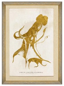 Κάδρο Caribbean Sea Life - Cephalapoda FA13179 50X70 MindTheGap Κάθετοι Wood