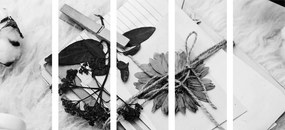Συλλογή εικόνων 5 μερών από παλιά φύλλα σε ασπρόμαυρο - 100x50