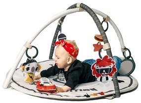 Βρεφικό Γυμναστήριο Tiny Love Gymini Rock N' Roll BR79098