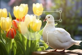 Σετ των 2 Intra Συλλεκτικό Ξύλινο Παζλ Plywood 4mm - Λευκό Περιστέρι ανάμεσα στις ζωντανές τουλίπες Σε Ξύλινο Κουτί - Διαστάσεις: 10x10 cm – 25 κομμάτια