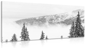 Εικόνα από χιονισμένα πεύκα σε μαύρο & άσπρο - 120x60