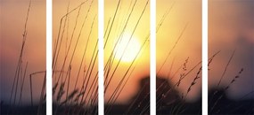 Εικόνα 5 μερών της ανατολής του ηλίου πάνω από το λιβάδι - 200x100