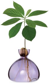 Βάζο Για Ανάπτυξη Καρπού Αβοκάντο 003-10 15x15cm Spring Lilac Ilex Studio Γυαλί